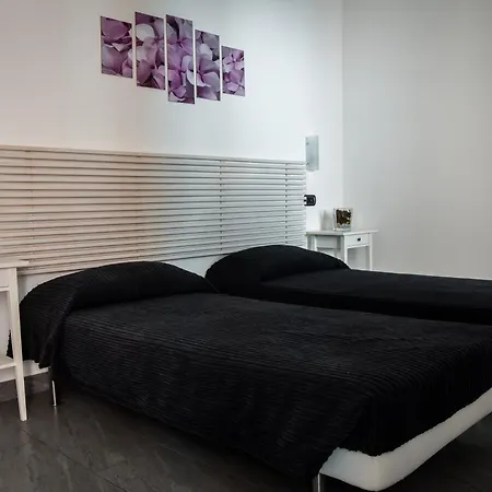 Delfo 3* Pisa