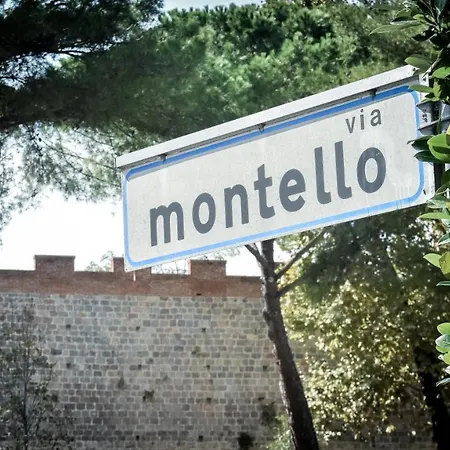 Delfo Guest house Pisa